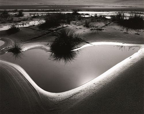 BRETT WESTON - Tide Pool, Oregon, 1974
