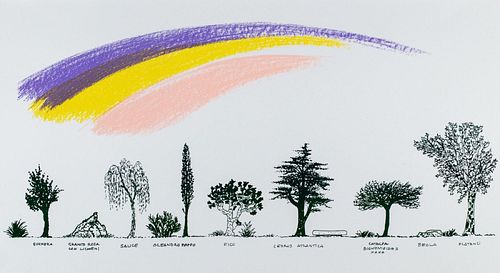 Bruno Munari (Milano 1907-1998)  - Un viale di alberi diversi, 1991