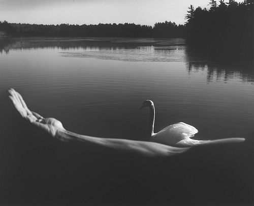 Arno Rafael Minkkinen (1945)  - Foster's Swan, 1994