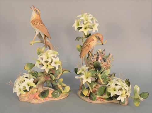 Boehm pair of "Wood Thrushes", porcelain sculptures to include female feeding chicks, and a male, ht. 15 1/2" and male ht. 15 1/2".