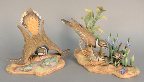 Pair of Boehm "Killdeer" porcelain sculptures to include female with chicks and male #473, ht. 9.5".