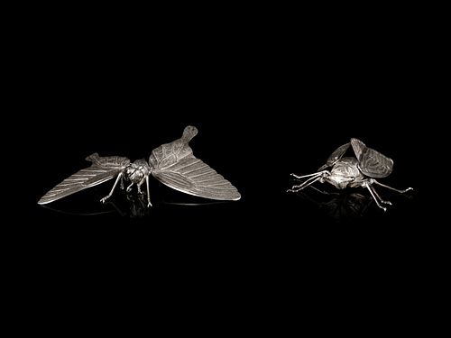 Two Silver Articulated Models of Insects