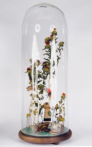 JENNIFER ANGUS,  Untitled (Insects in Bell Jar)