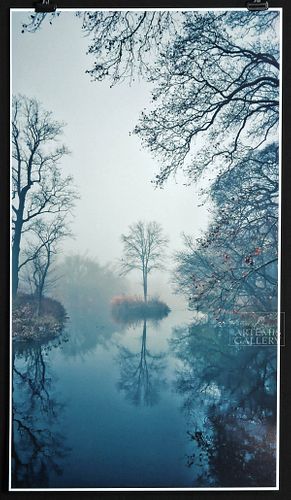 Andrew White Photograph Single Tree Fog 2015