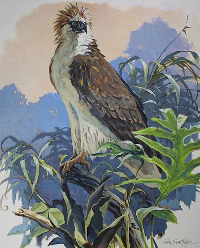 John Swatsley (B. 1937) "Philippine Eagle"