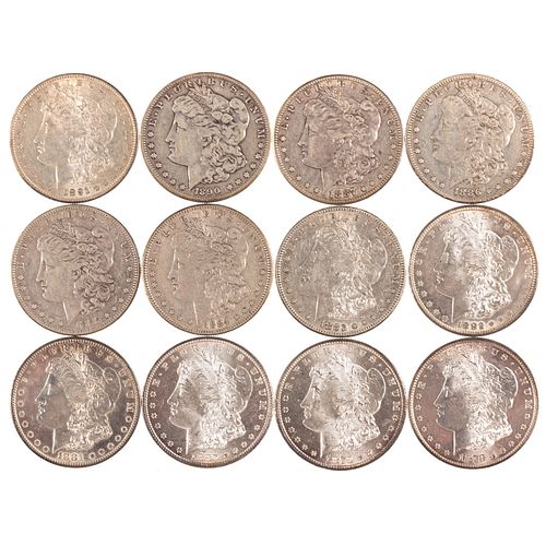 A Dozen Different S-Mint Morgans 1878-1891
