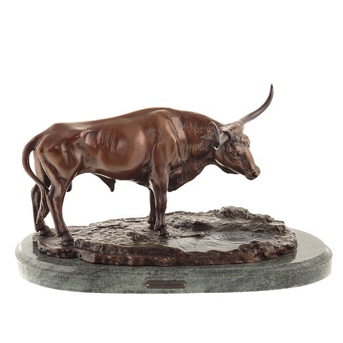 Bronze Texas Longhorn