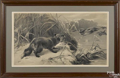 Engraving after J. S. Nobel, published in 1880, depicting a fox and ducks, 17 1/2'' x 32''.