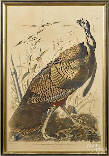 Two lithographs, after James Audubon, one of the Wild Turkey, 20th c., 37 1/2'' x 24 1/2''