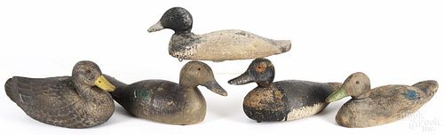 Four carved and painted duck decoys, one stamped Animal Trap Co., longest - 16 1/2''