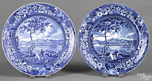 Historical blue Staffordshire plate and bowl