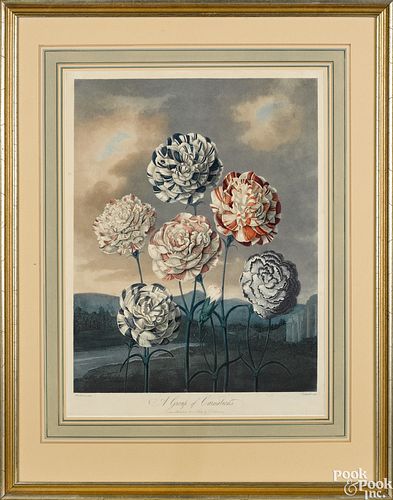 Seven color botanical engravings
