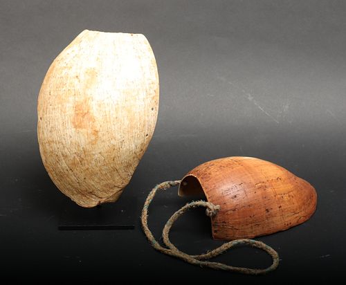 Papua New Guinea Mendi Bailer Shell Necklaces, 2