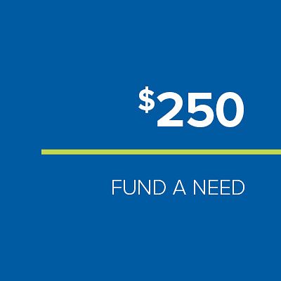 FUND-A-NEED: $250