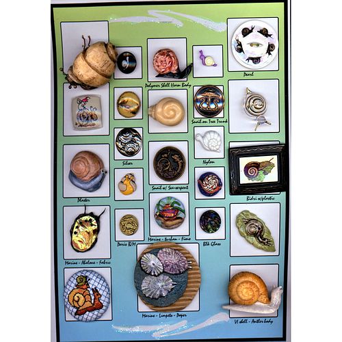 One Card Of Assorted Material Snail Buttons