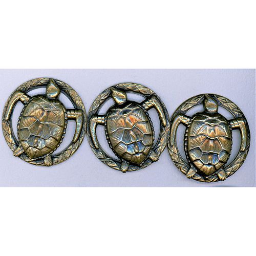 Small Card Of Brass Hawksbill Turtle Buttons