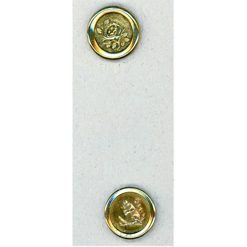 A Pair Of American Jacksonian Buttons