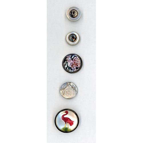 A Small A Of Assorted Pearl Technique Buttons