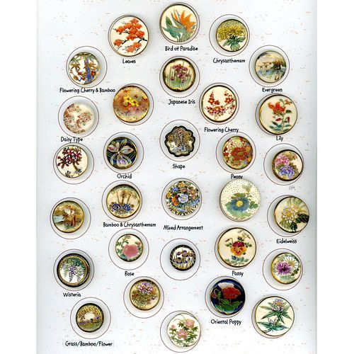 An Amazing Full Card Of Div 1 & 3 Satsuma Buttons