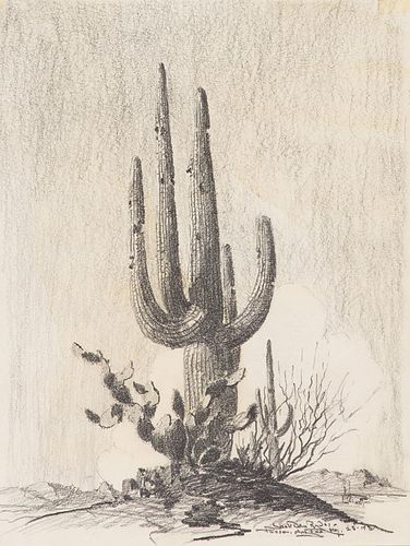 Jack Van Ryder Saguaro, Tucson, Arizona, 1957