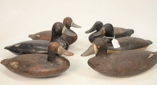 Six Broadbill Duck Decoys, to include five hens, one drake, mostly working, (repaints with neck, cracks and repairs).
largest height...