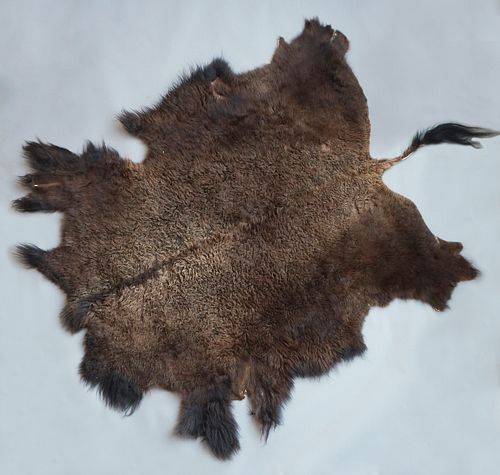 Montana Wild American Bison Fur Hide Rug
