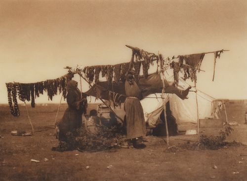 Edward Curtis "Drying Meat" Photograph