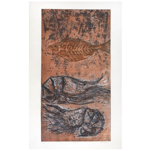 TOMÁS PINEDA MATUS, Pez fósil, Signed, Etching, aquatint, woodcut on print P. I ., 35.8 x 18.7" (91 x 47. 5 cm)