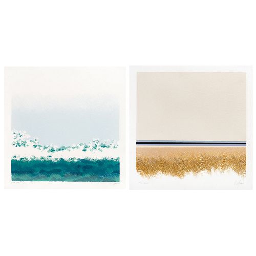 ENRIQUE CATTANEO, a)Trigales b)Olas, Signed and dated 87, Serigraphies 90 / 100 y 92 / 100, 17.3 x 17.3" (44 x 44 cm) each, Pieces: 2