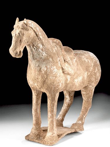 Chinese Tang Dynasty Terracotta Horse