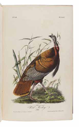 AUDUBON, John James (1785-1851). The Birds of America, from Drawings Made in the United States and their Territories. New York: J.J. Audubon; Philadel