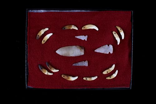 Bear Tooth Projectile Point Collection 9500-650BP