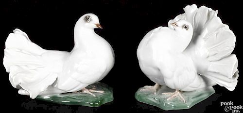 Pair of Rosenthal porcelain birds, 5 1/4'' h.
