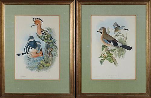 John Gould and H.C. Richter, "Upupa Epops," and "Garrulus Glandarius," 20th c., pair of bird prints after the 19th c. originals, pre...