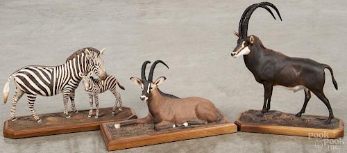 Four Louis Paul Jonas Studios, carved and painted animal figures, to include zebras, a sable antelope