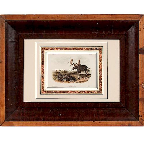 Audubon Prints, Common Arctic Puffin, Large Billed Puffin, and Moose-Deer, Bowen Edition 