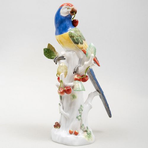 Meissen Porcelain Figure of a Macaw
