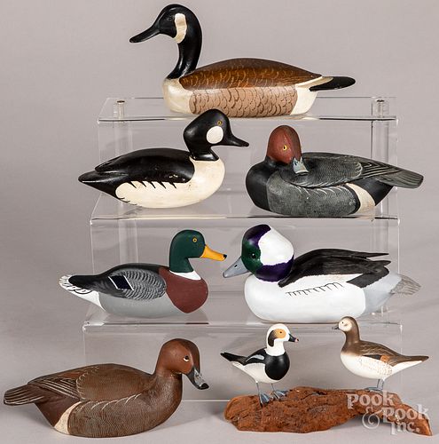 Seven carved and painted duck decoys