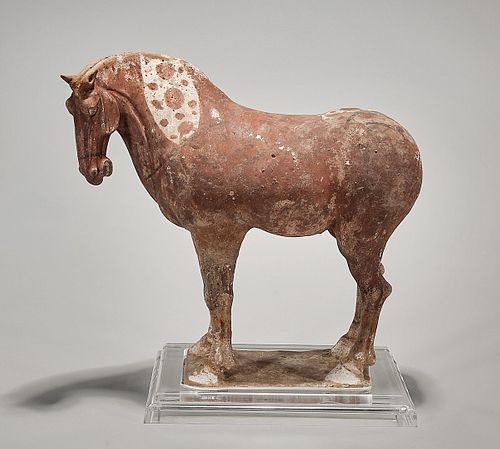 Tang Dynasty Pottery Horse