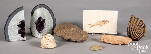 Group of fossils and tools