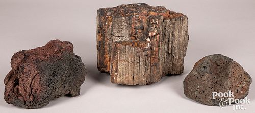 Petrified wood & Icelandic lava flow sample