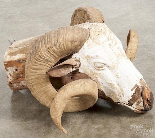 Pair of ram's horn trophies on a carved and modeled plaster mount, 10'' x 18'' x 15 1/2''.