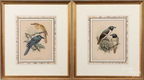 Eight bird and butterfly prints. Provenance: The