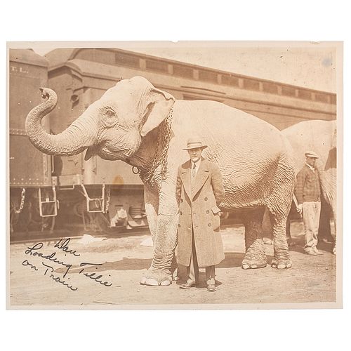 Dan Noonan, Circus Elephant Trainer, Photographic and Manuscript Collection