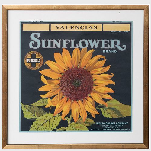20th Century School: Sunflower Brand