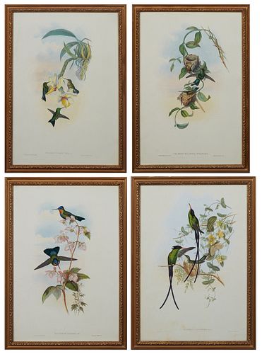 John Gould, "Chlorostilbona Prasina,"Chlorostilbon Atala," "Trochilus Polytmus," and "Panterpe Insignis," 20th c., four hummingbird prints, after the 