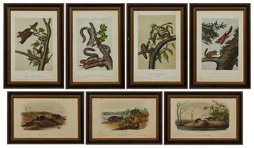 John James Audubon (1785-1851), "Migratory Squirrel," No. 7, Plate 35, "Carolina Shrew," No. 15, Plate 75, "Mole Shaped Pouched Rat," No. 22, Plate 11