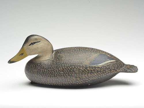 Outstanding and important hollow carved black duck, Ira Hudson, Chincoteague, Virginia.