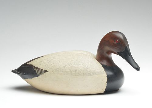 Hollow carved canvasback, Lou Rathmell, Stratford, Connecticut.