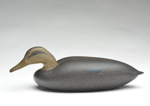 Exceptional hollow carved gunning black duck, Shang Wheeler, Stratford, Connecticut.
